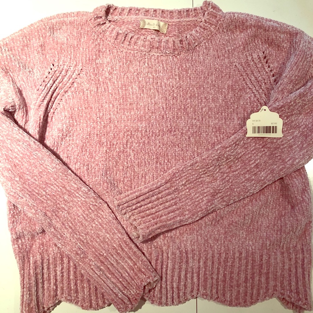 NEW WITH TAGS | Altr’d State | Pink Sweater